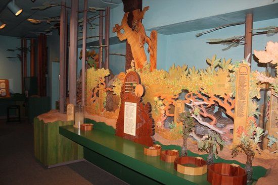 Big Basin Nature Museum & Research Center